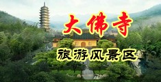 黄色视频啪啪好爽啊啊用力操我中国浙江-新昌大佛寺旅游风景区